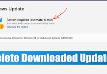 How to Delete Downloaded and Pending Updates in Windows 11